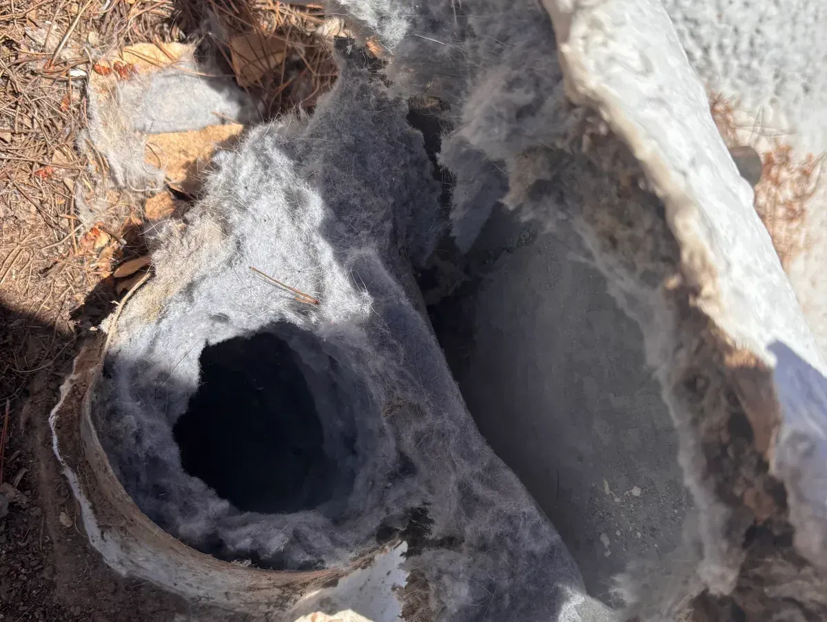 Dryer vent opening almost completely choked shut with packed gray lint
